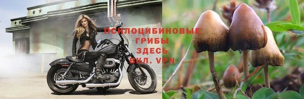 хмурый Лабытнанги