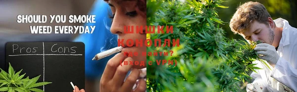 бошки Ладушкин