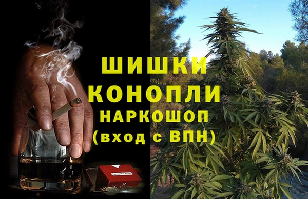бошки Ладушкин