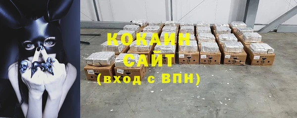 бошки Ладушкин