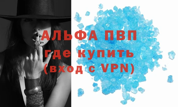 бошки Ладушкин