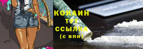 бошки Ладушкин